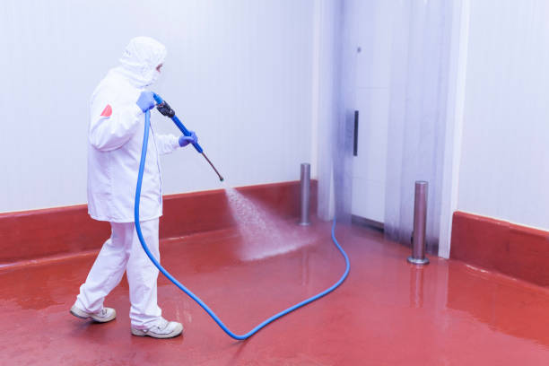 Best Sidewalk and Walkway Cleaning  in Rustburg, VA