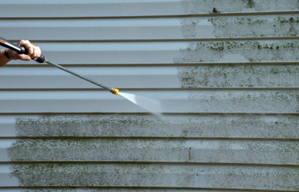 Best Gutter Cleaning  in Rustburg, VA